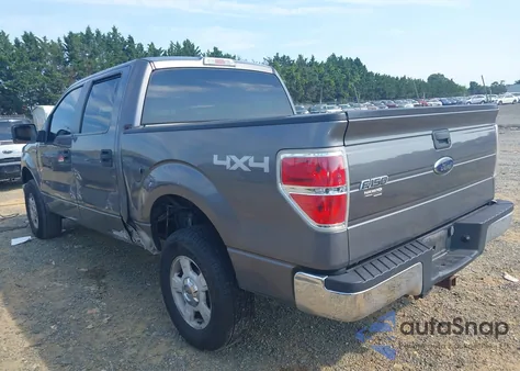 2009 Ford F-150 Fx4/King Ranch/Lariat/Platinum/Xl/Xlt z USA, uszkodzony, nr VIN 1FTPW14V79FB02799